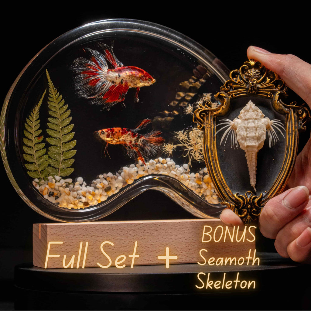 Two real red Betta fish displayed in a clear tank with a glowing wooden LED base, showcasing lifelike preservation and artistic lighting.