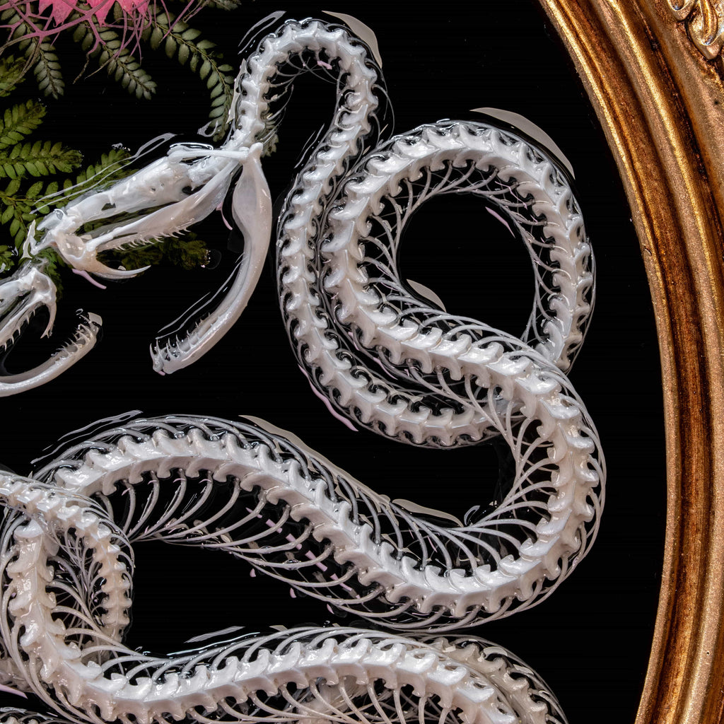 Real snake skeleton taxidermy romantic pair curled together on ornate frame with symbolic flowers