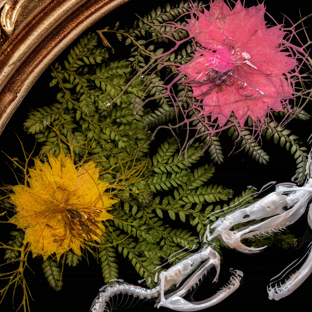 Real snake skeleton taxidermy romantic pair curled together on ornate frame with symbolic flowers