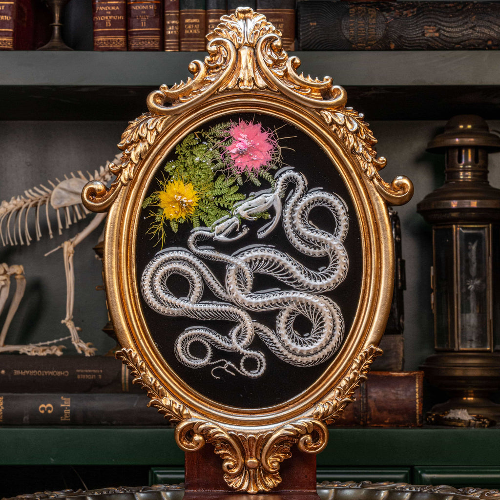 Real snake skeleton taxidermy romantic pair curled together on ornate frame with symbolic flowers