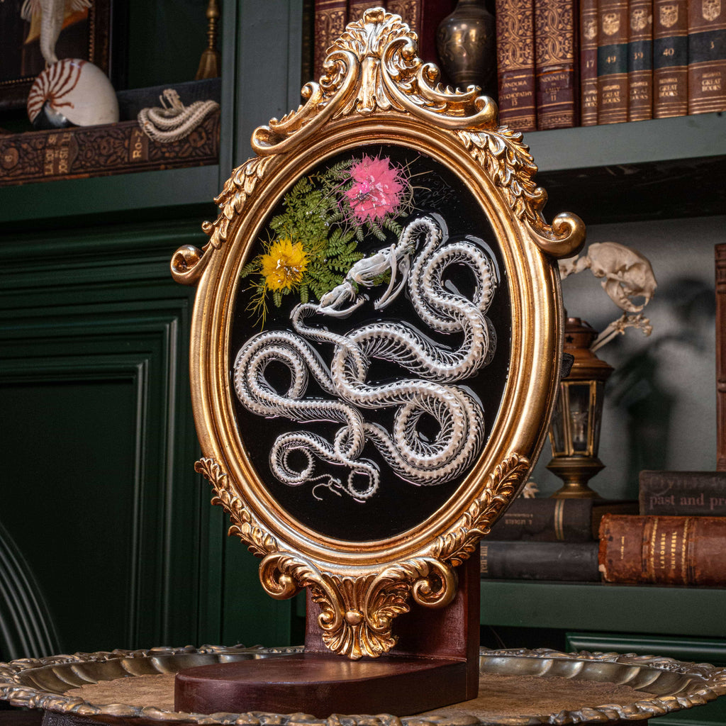 Real snake skeleton taxidermy romantic pair curled together on ornate frame with symbolic flowers.