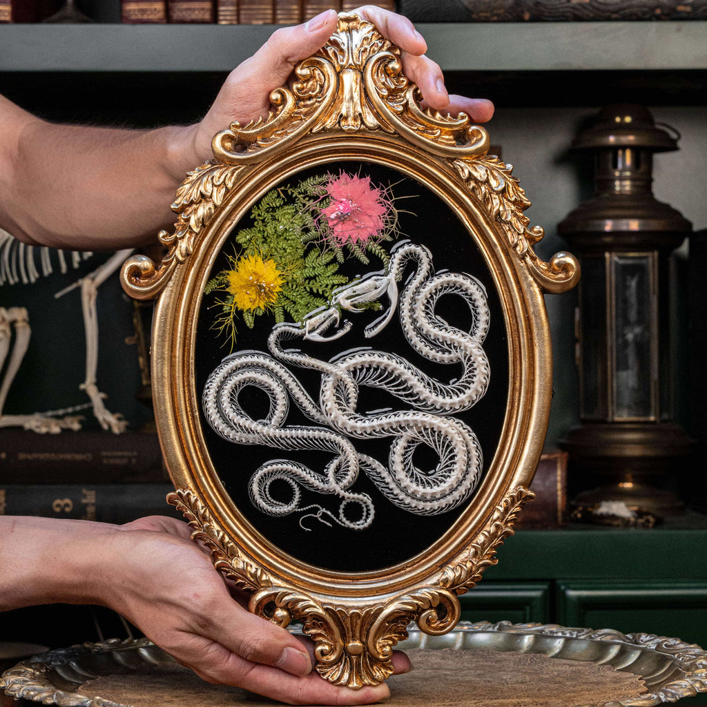 Skeleton love story: twin snakes entwined on an antique frame, with dried flowers representing eternal bond.