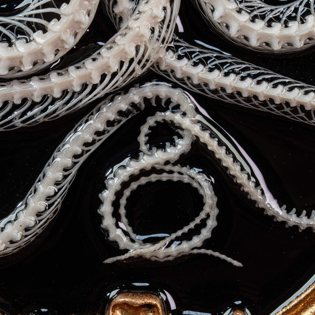 Two viper skeletons intertwined in four-ring pattern a symbolic taxidermy art mounted on gothic frame