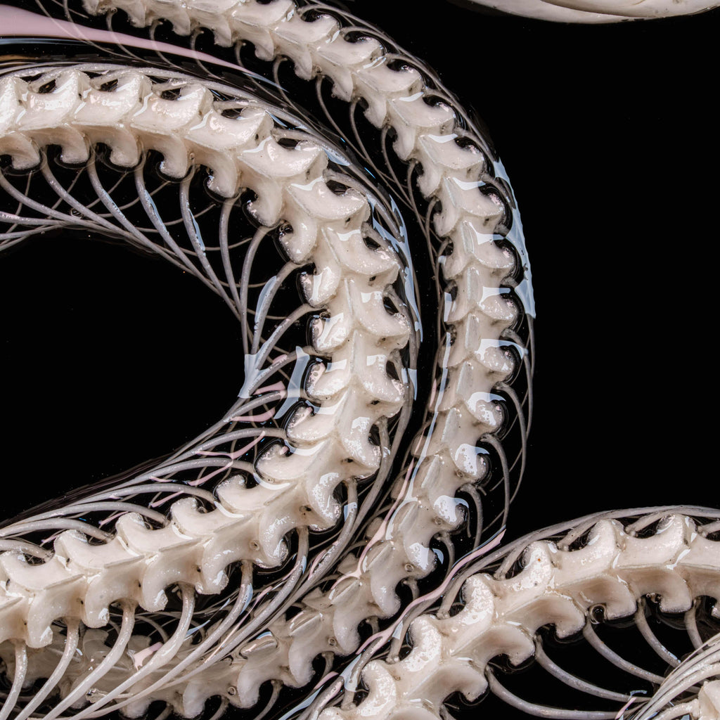 Real Viper Snake Skeleton Taxidermy on Gothic Vintage Frame Caduceus Snake Skeleton Wall Art Dark Academia oddities Curiosities Decor gift image 10