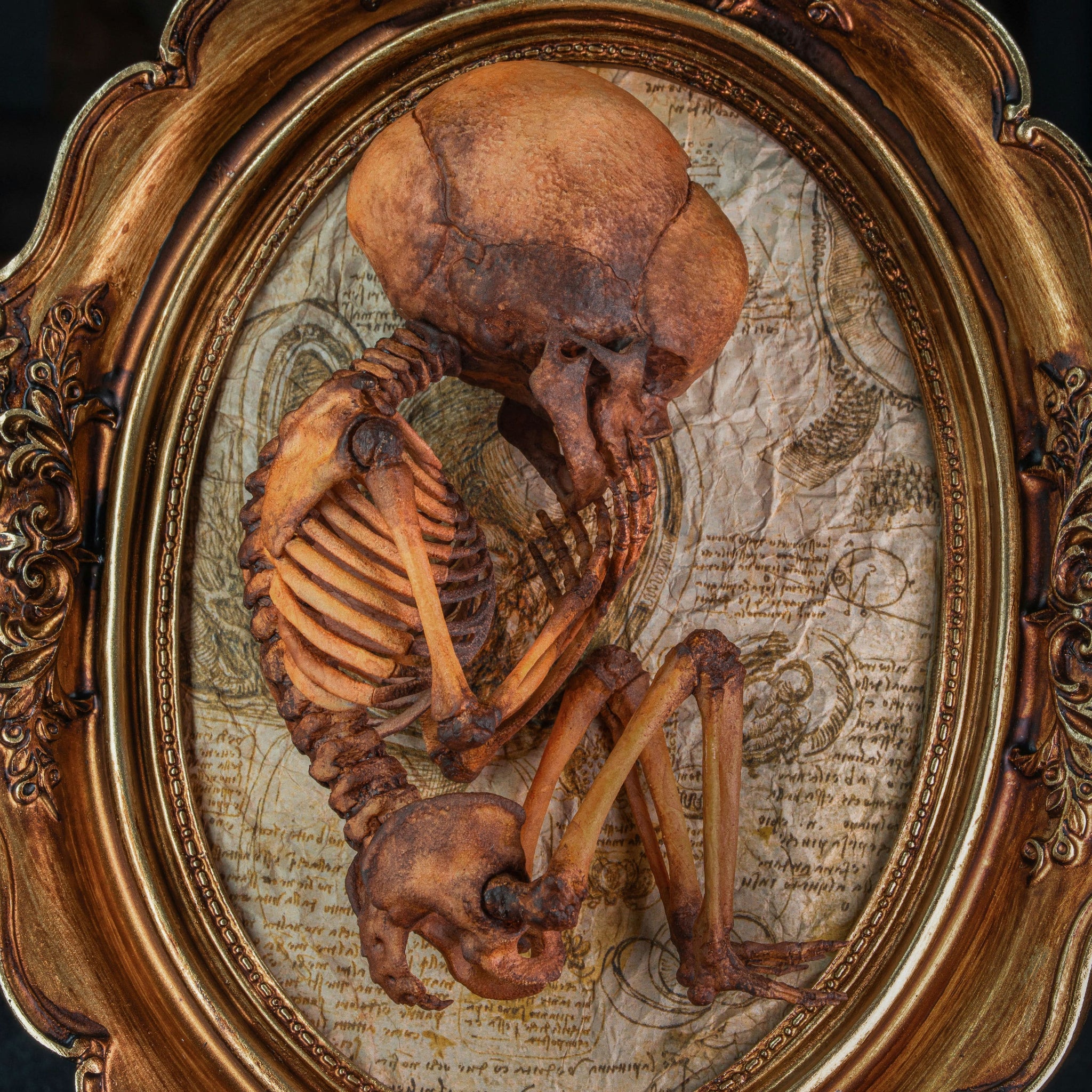 3D Printed Human Fetus Infant skeleton on Vintage frame, hand