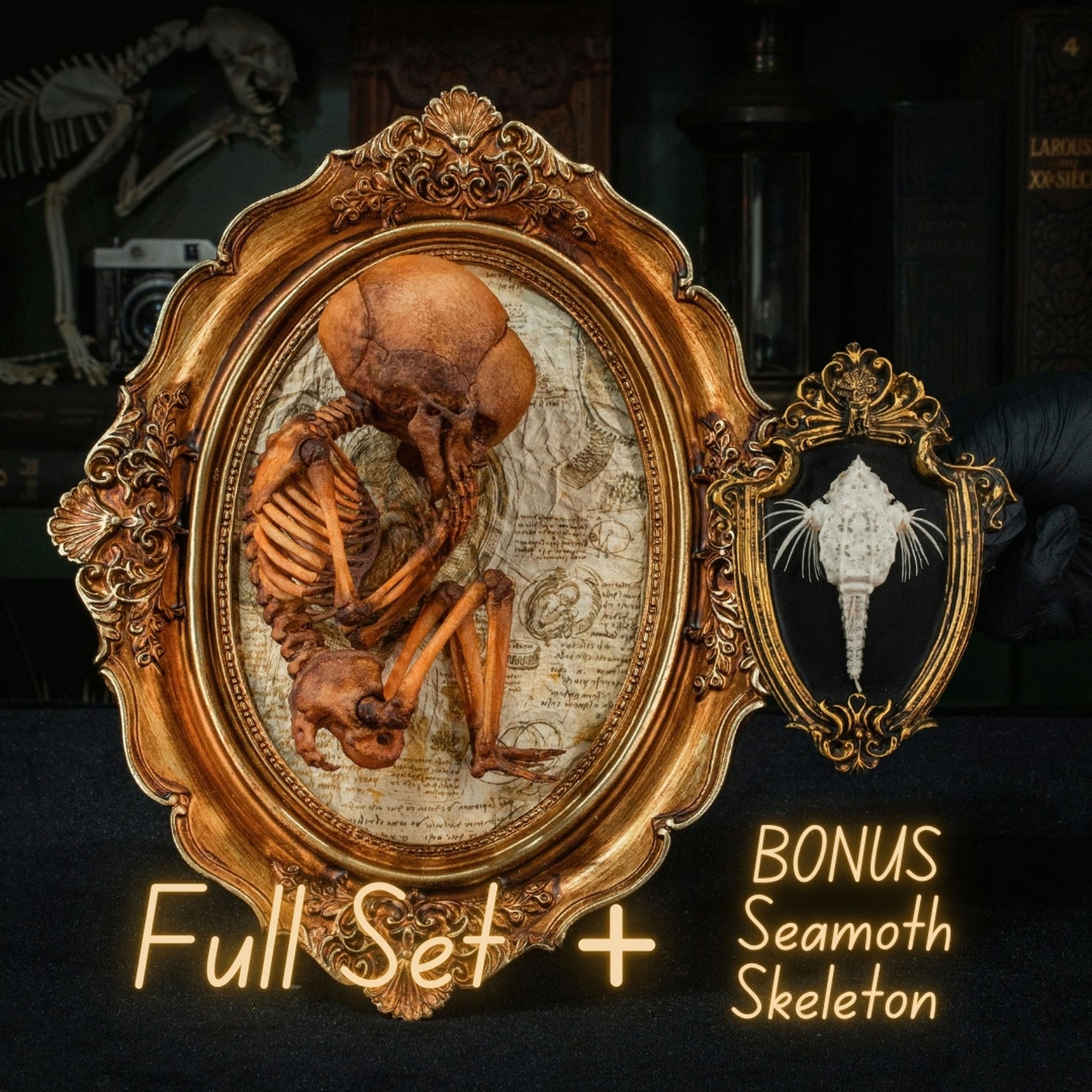 3D Printed Human Fetus Infant skeleton on Vintage frame, hand