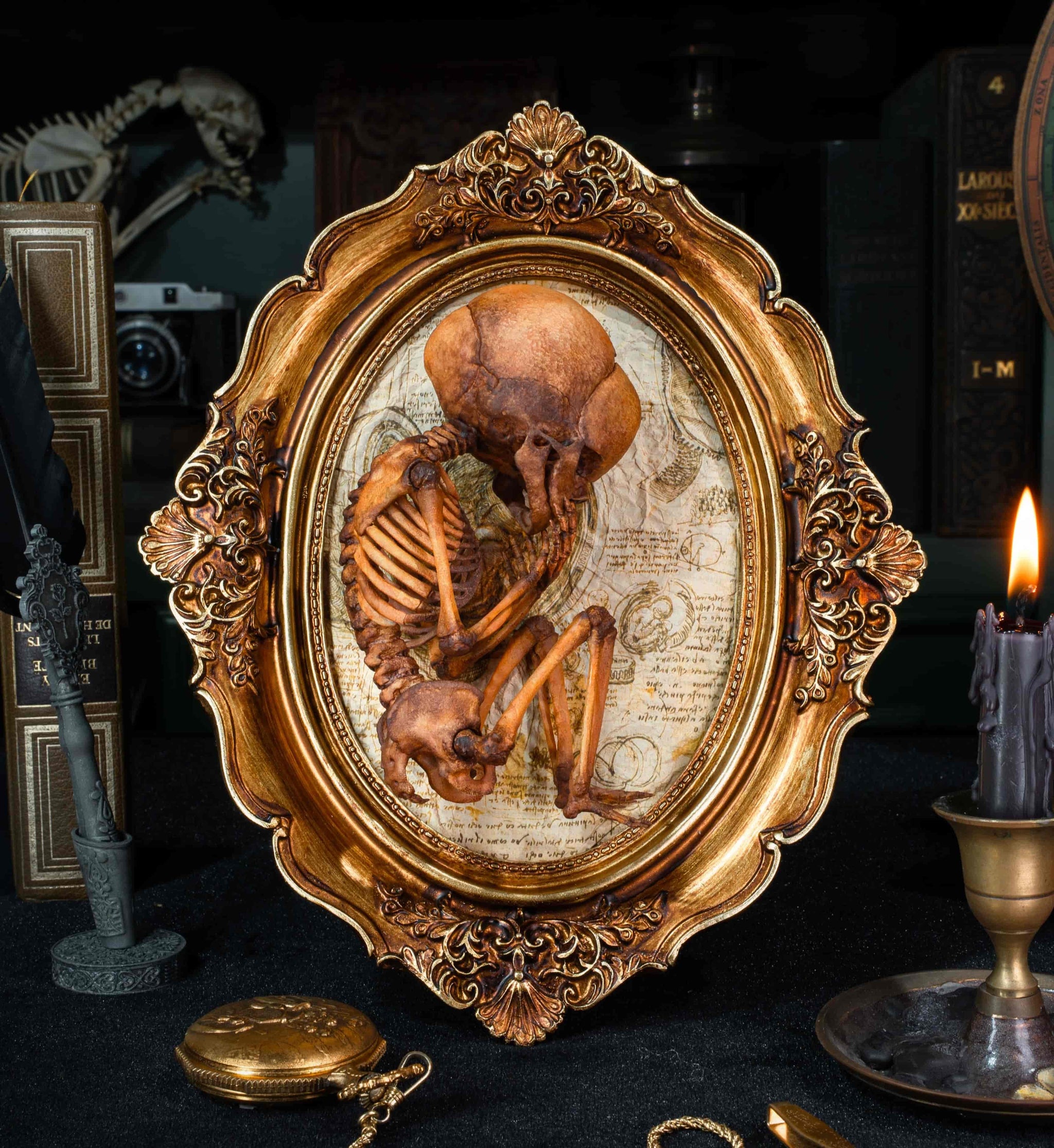 3D Printed Human Fetus Infant skeleton on Vintage frame, hand