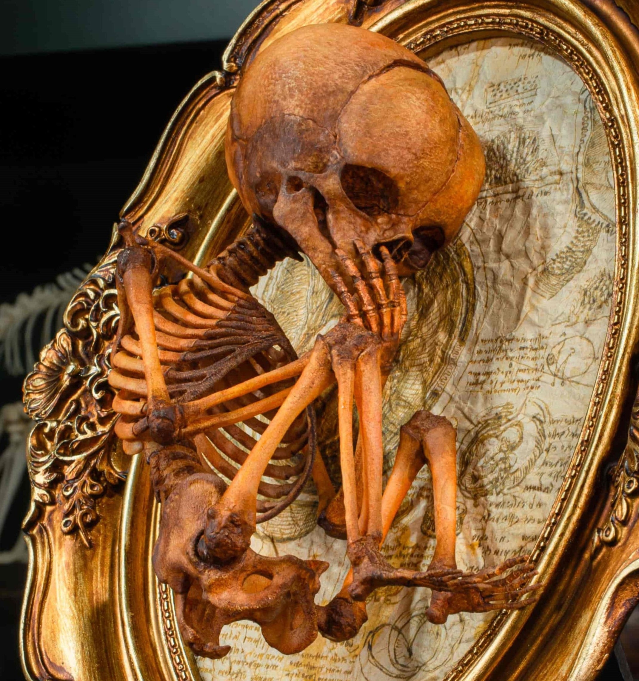 3D Printed Human Fetus Infant skeleton on Vintage frame, hand