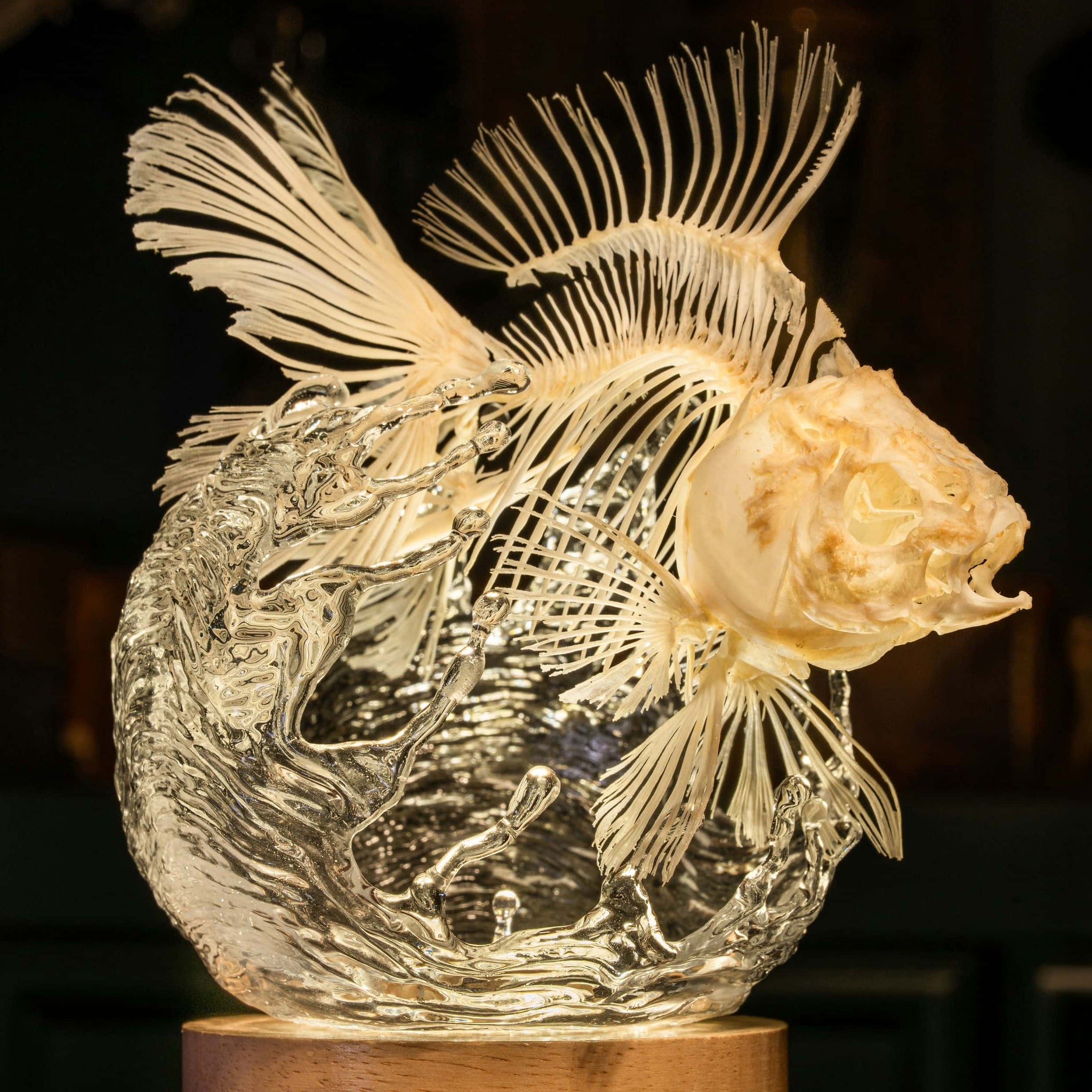 Goldfish Skeleton Lamp, Fish Taxidermy Decor