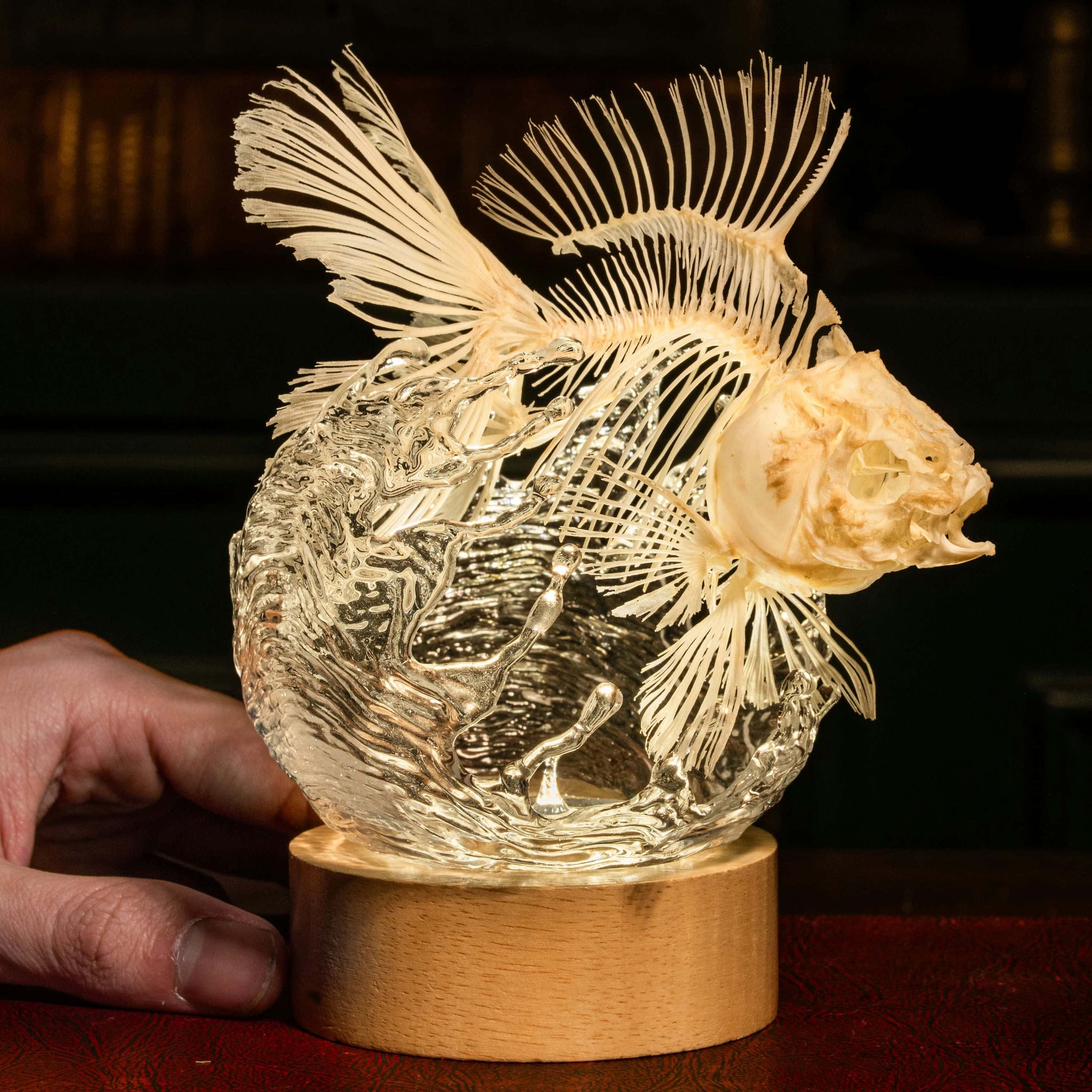 Goldfish Skeleton Lamp, Fish Taxidermy Decor