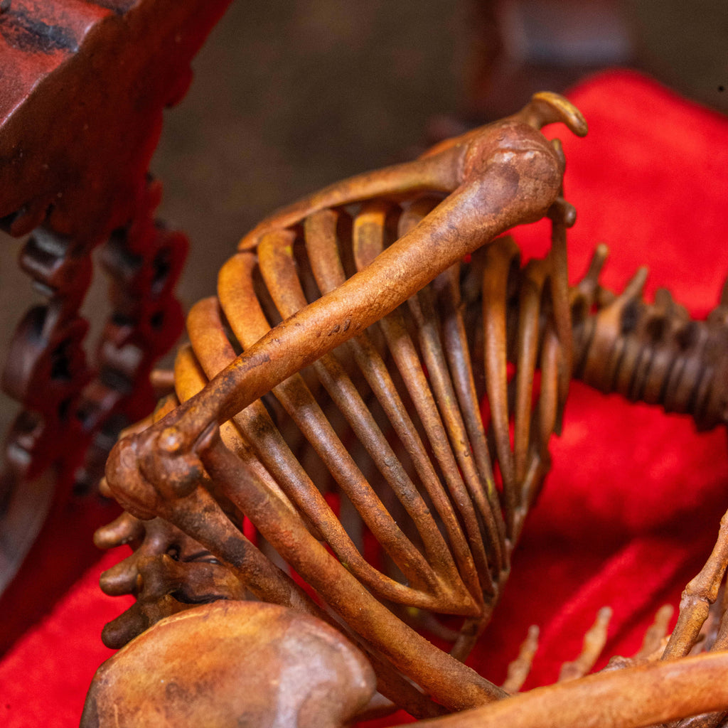 A human skull and skeletal remains lying on a red velvet cushion inside a carved wooden frame. The frame is intricately detailed with ornate carvings and a dark red finish.