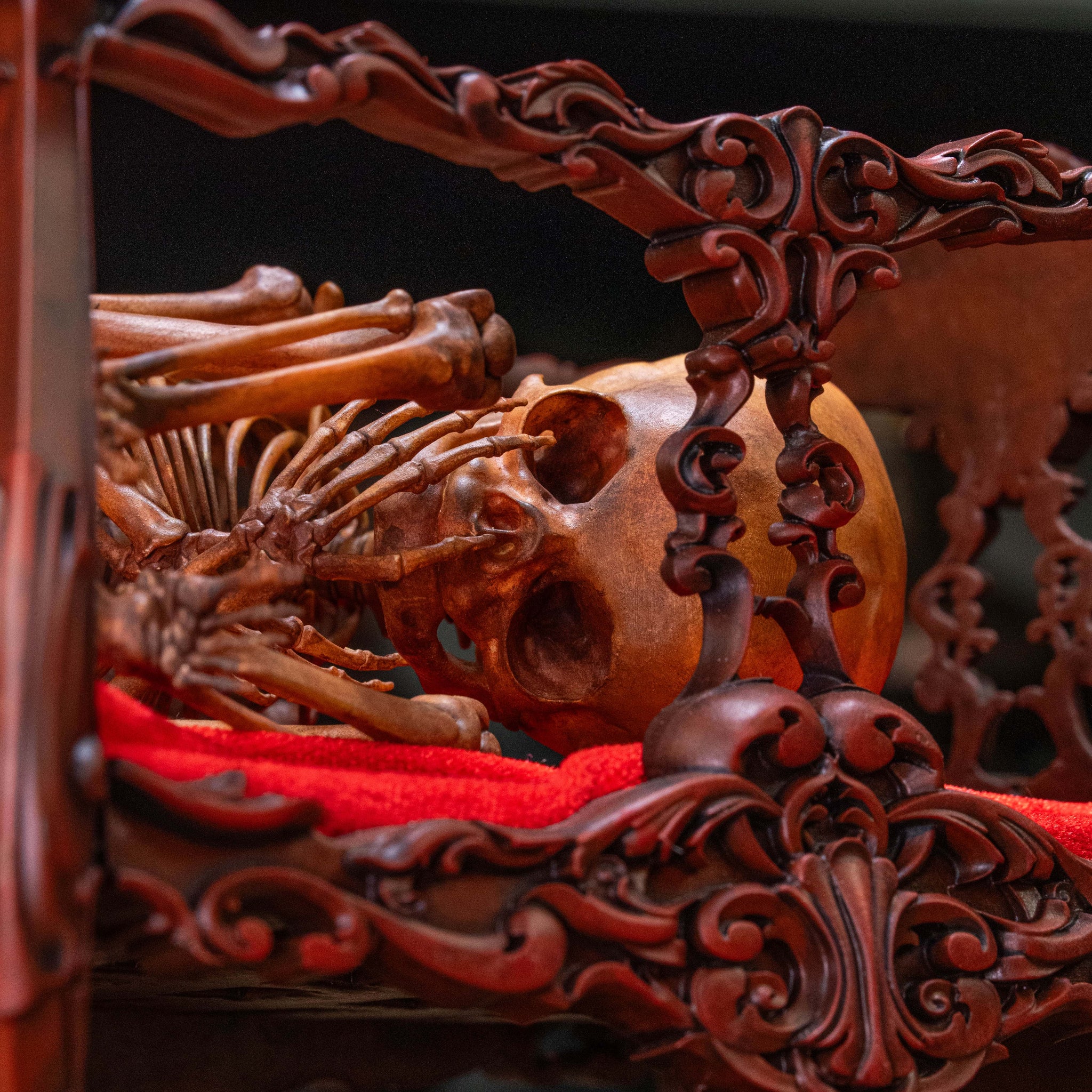 Baby Fetus Infant 3D Printed skeleton in Cradle – Duy Ng Skeleton