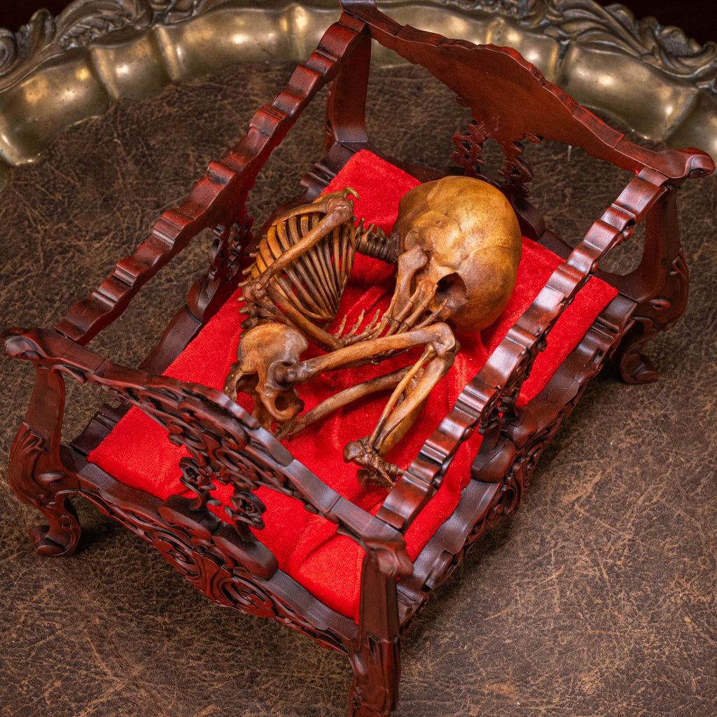 Anatomically accurate baby human fetus skeleton displayed in a handwoven wicker cradle.
Human skull. Human skeleton. Oddities and curiosities. Gothic home decor. Dark academia. Witchcraft collectibles. Horror nursery display. Afterlife symbolism. Creepy cradle art piece.