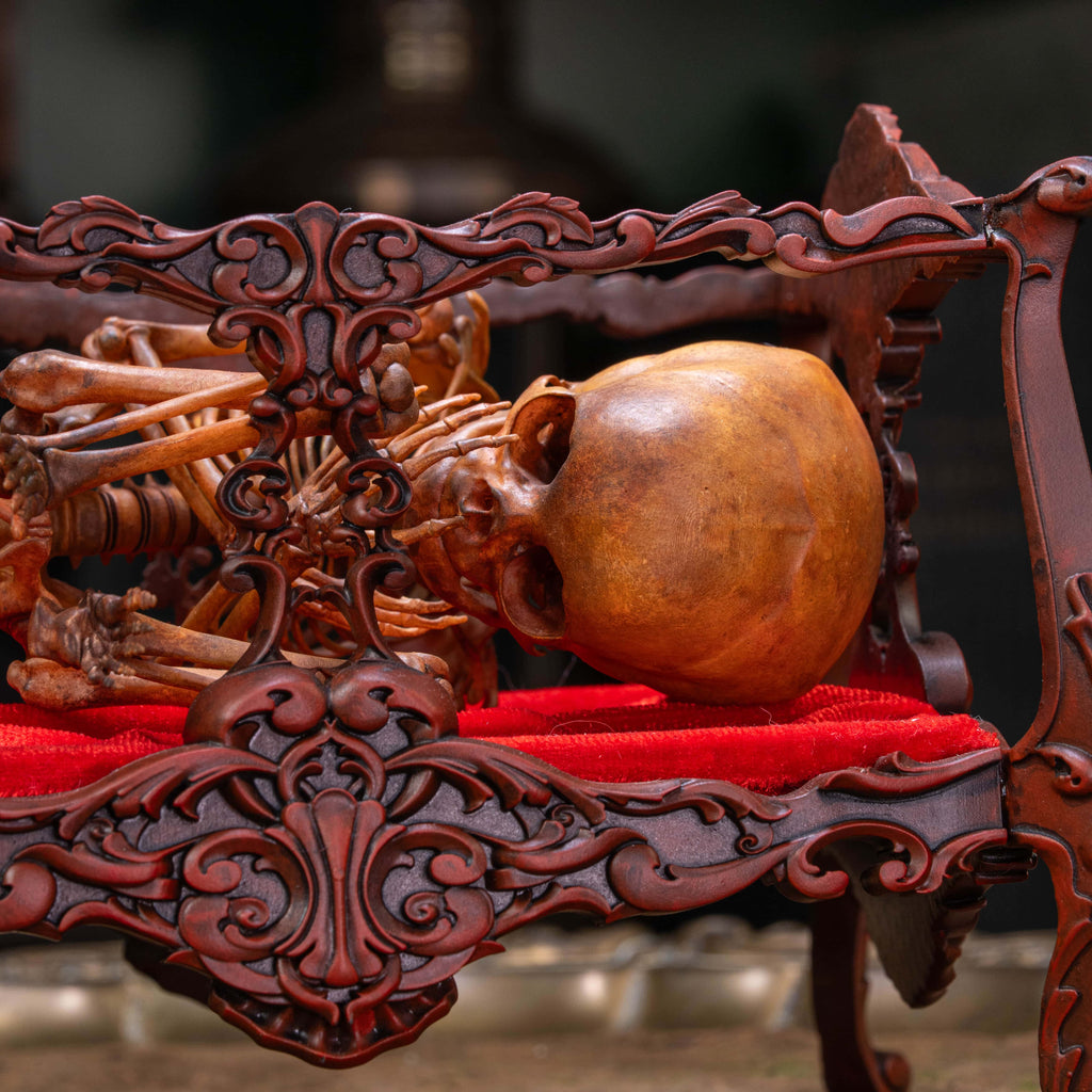 Anatomically accurate baby human fetus skeleton displayed in a handwoven wicker cradle.
Human skull. Human skeleton. Oddities and curiosities. Gothic home decor. Dark academia. Witchcraft collectibles. Horror nursery display. Afterlife symbolism. Creepy cradle art piece.