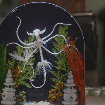 Fantasy mermaid skeleton taxidermy a mythical hybrid of fish and mammal bones, perfect for gothic decor
