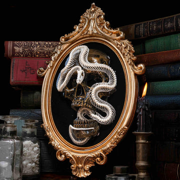 Snake_Skeleton_Skull_Taxidermy