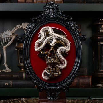 Realistic snake skeleton wall decor with skull centerpiece, perfect for horror, gothic, and occult lovers.