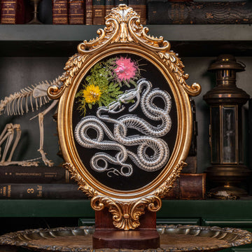 Real snake skeleton taxidermy romantic pair curled together on ornate frame with symbolic flowers